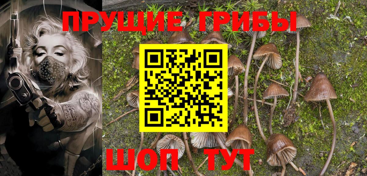 Гусиноозёрск  Галлюциногенные грибы Magic Shrooms  Вход с VPN 